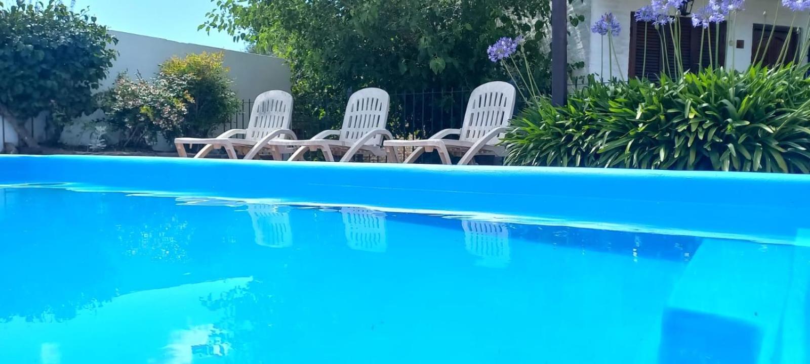 Palmeras * Chascomus