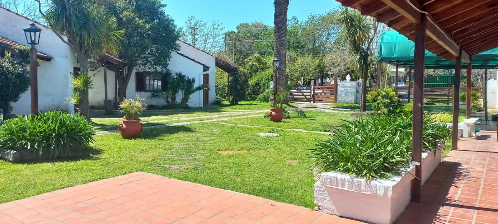 Palmeras *